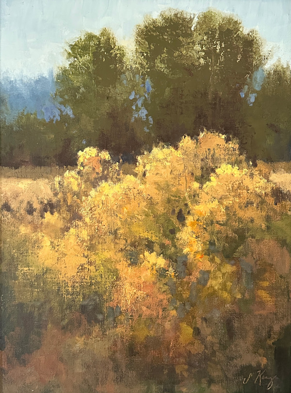 Backlit chamisa by Shanna Kunz