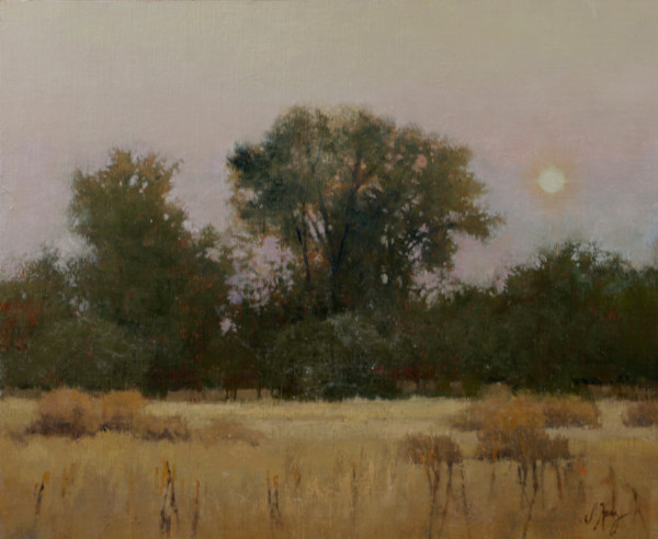 Stillness At Days End by Shanna Kunz