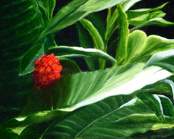Fantastic Leaves at Como Conservatory by Carolyn Kleinberger