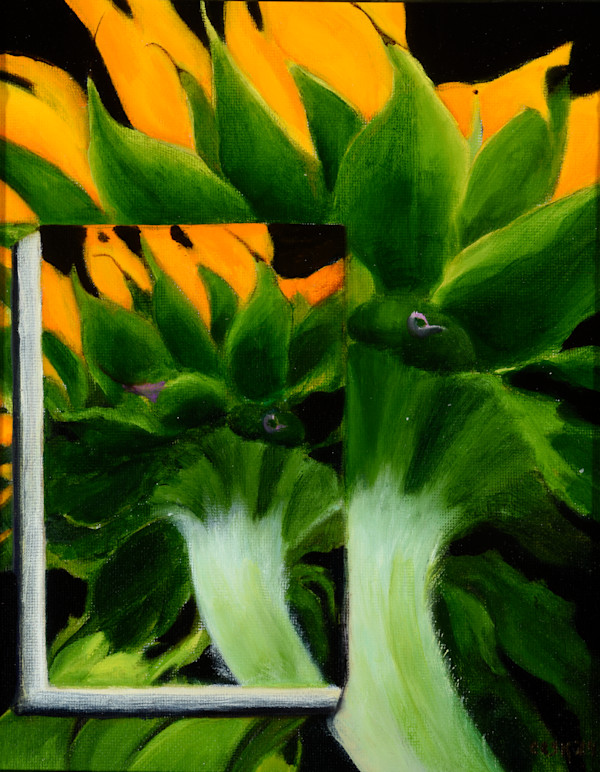 Inward View of a Sunflower by Carolyn Kleinberger