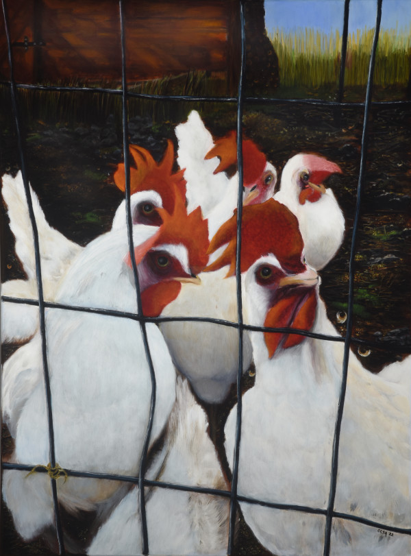 Chickens Behind Bars by Carolyn Kleinberger 