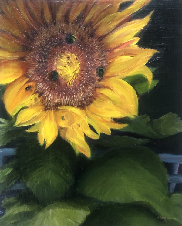 Sunflower and a Trilogy of Bees by Carolyn Kleinberger