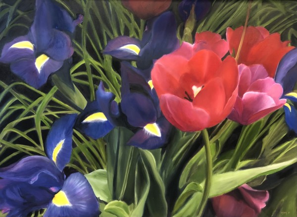 Springs Glory - Tulips and Irises by Carolyn Kleinberger 