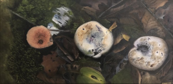 Three Mushrooms on Golden Pond by Carolyn Kleinberger 