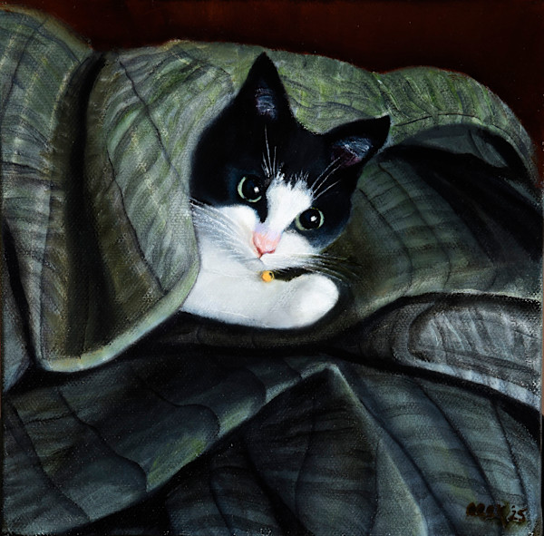 Kitten Hide and Seek by Carolyn Kleinberger
