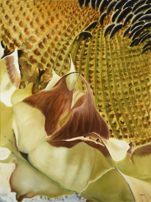 Heart of the Sunflower 1/18 by Carolyn Kleinberger 