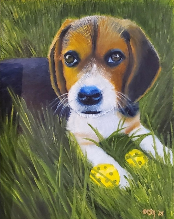 Adorable Puppy In The Grass by Carolyn Kleinberger