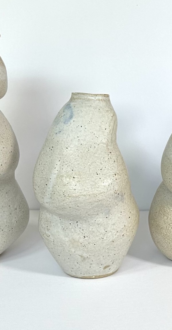 Organic Vases #3 by Mariana Sola