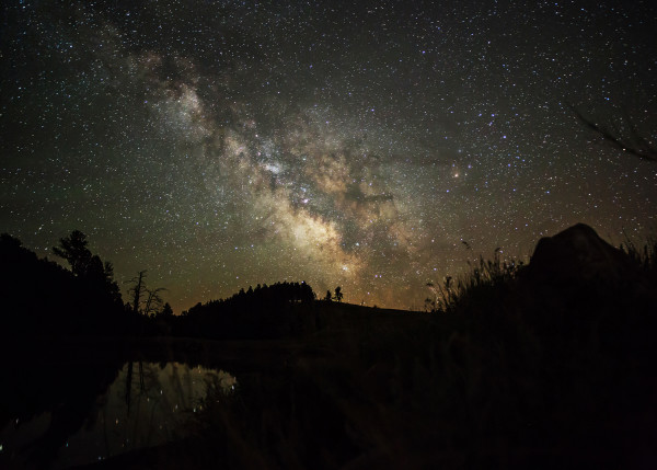 Custer State Park Milky Way by Randy Halverson