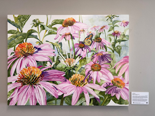 Echinacea by Barbara Sparks