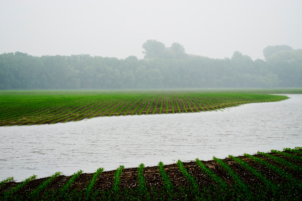 Receding Water by Joseph Night