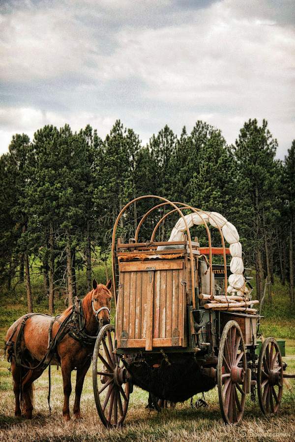 Chuckwagon by Sissy Schneiderman
