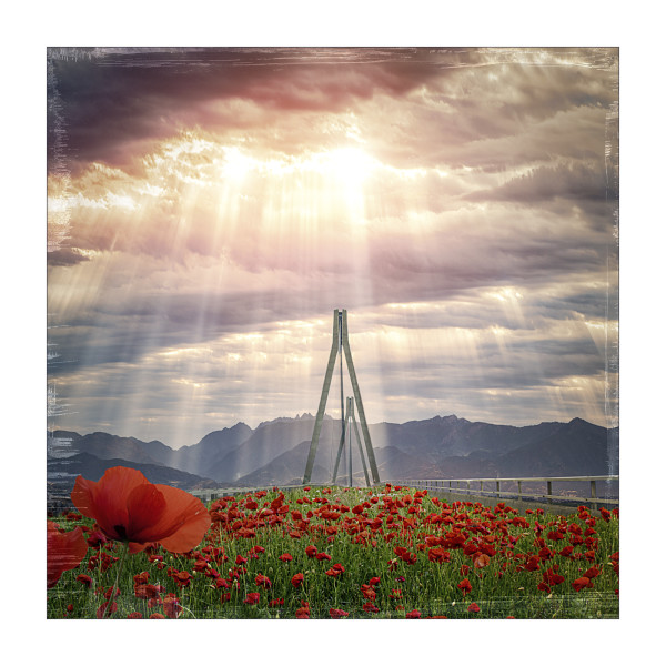 The Bridge of Poppies   #2/30 by The Ott Stuff