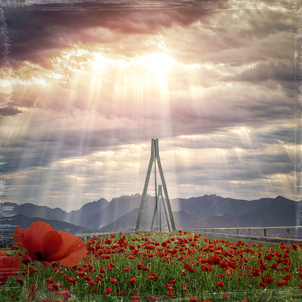 The Bridge of Poppies   #1/5 by The Ott Stuff
