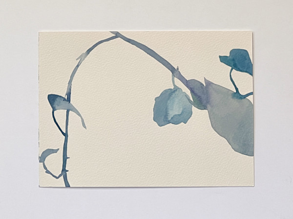 Golden Pothos 12/21 by Karen Kuo