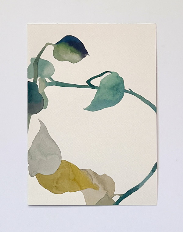 Golden Pothos 16/21 by Karen Kuo