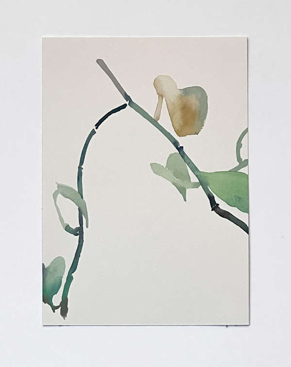 Golden Pothos 4/21 by Karen Kuo
