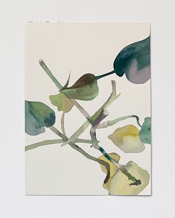 Golden Pothos 7/21 by Karen Kuo