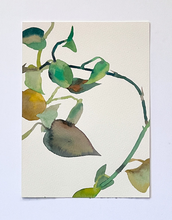 Golden Pothos 9/21 by Karen Kuo