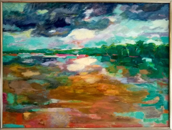 Amazon River - After the Storm