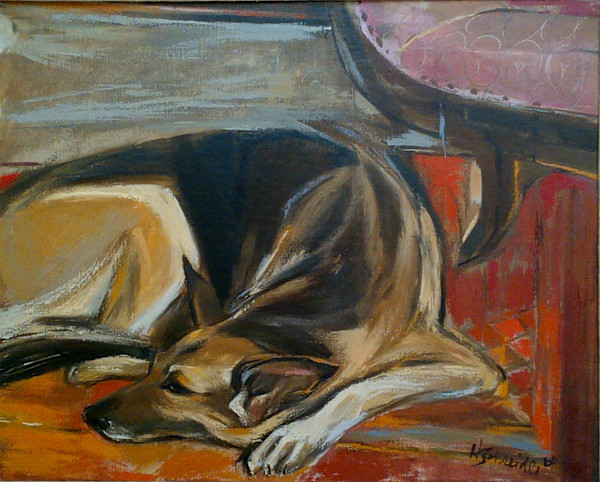 Dinah, travel companion on expeditions by Helen A Schreider