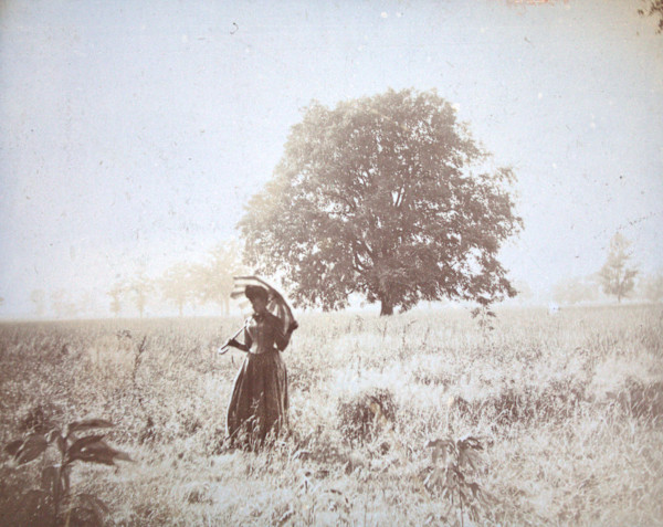 Woman in a Field by Unknown, United States