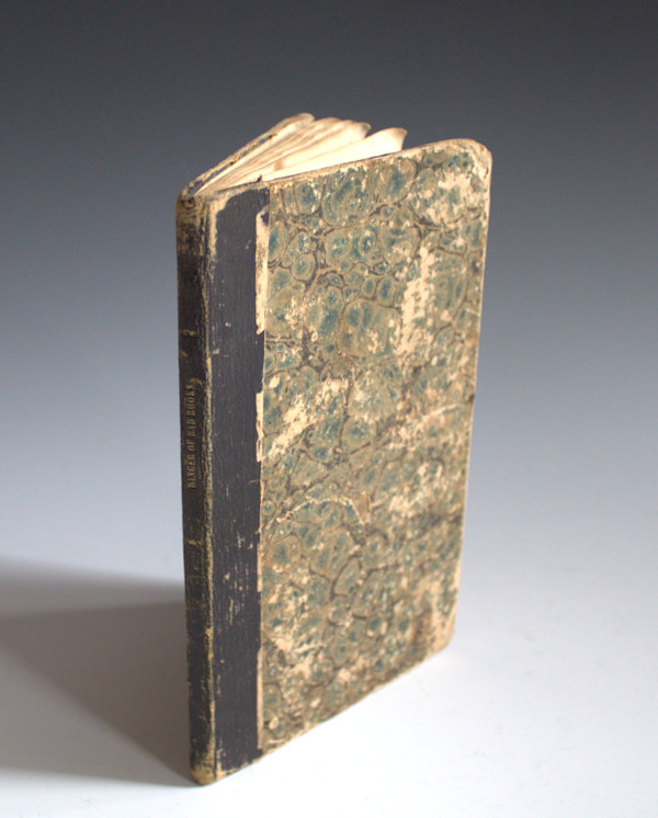 The Danger of Bad Books by J.J.S. Cellerier