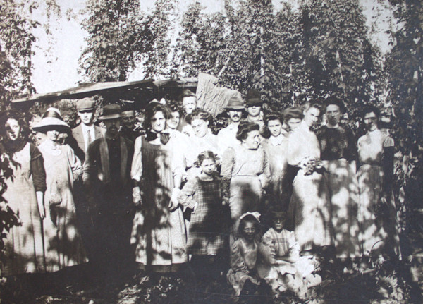 Picking Hops by Unknown, United States
