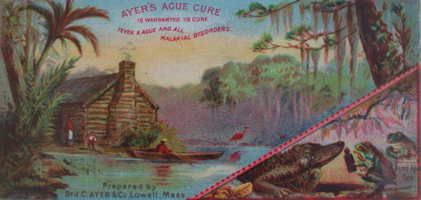 Trade Card by Dr. J.C. Ayer & Co.
