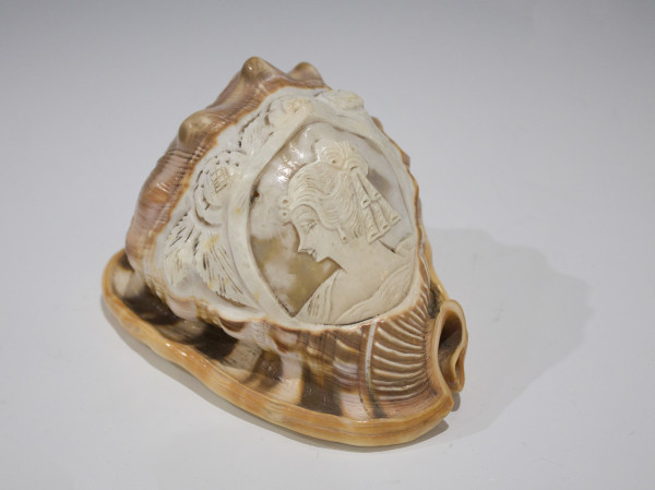 Cameo Shell by Unknown, Italy