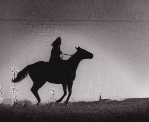 Untitled (Gallop) by Mitchel A. Obremski