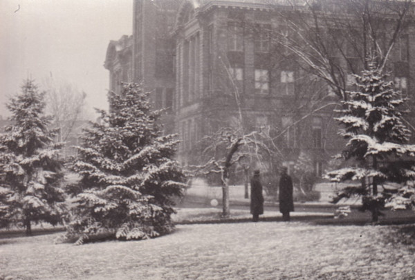 Untitled (Winter) by Mitchel A. Obremski