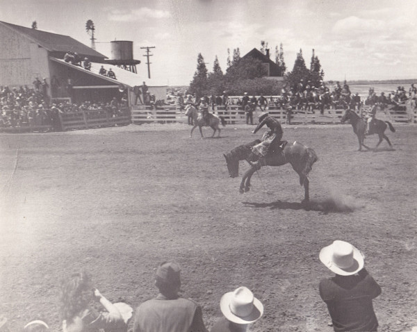 Untitled (Rodeo) by Mitchel A. Obremski