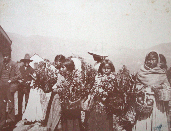 Flower Girls at Alta Luce, Mexico by Unknown