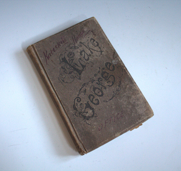 Lake George Illustrated: A Book of Today by Seneca Ray Stoddard