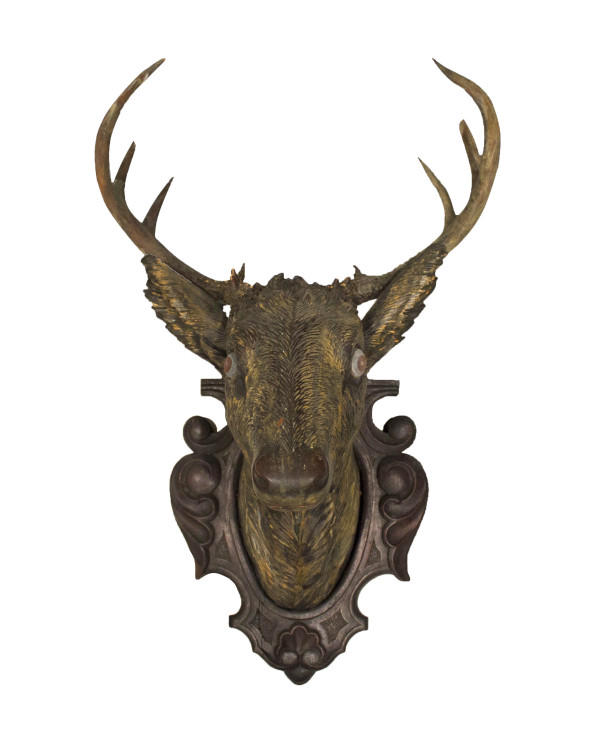 Mounted Stag by Unknown, Switzerland