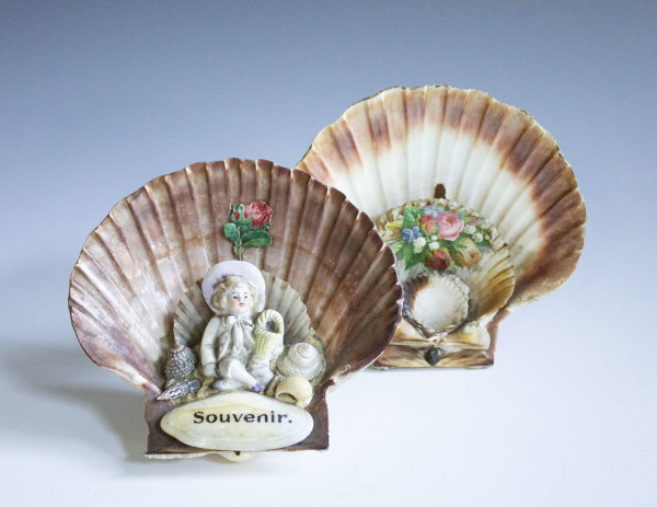 Decorative Shells by Unknown, Germany
