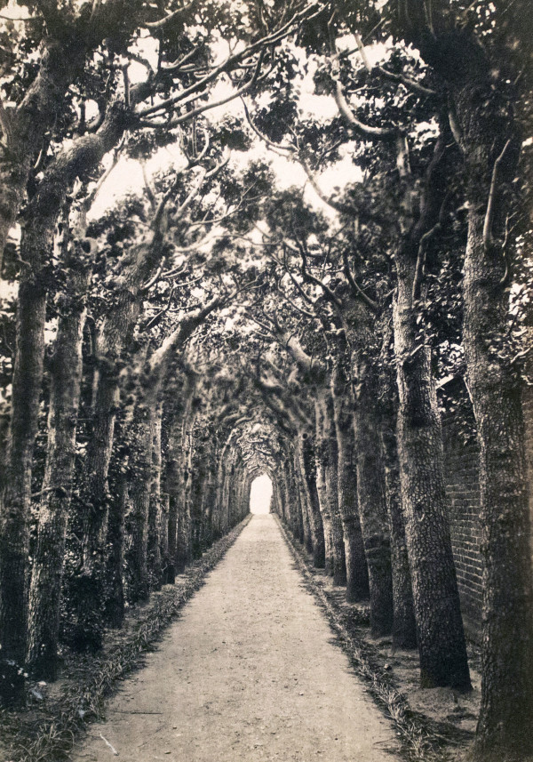 Queen Mary's (Anne's) Bower, Hampton Court Palace by Unknown
