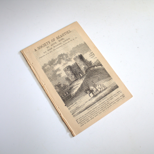 A Society of Beauties by Alex Ross