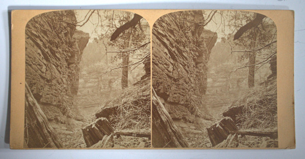 Stereoview by Byron H. Gurnsey, Image 1.