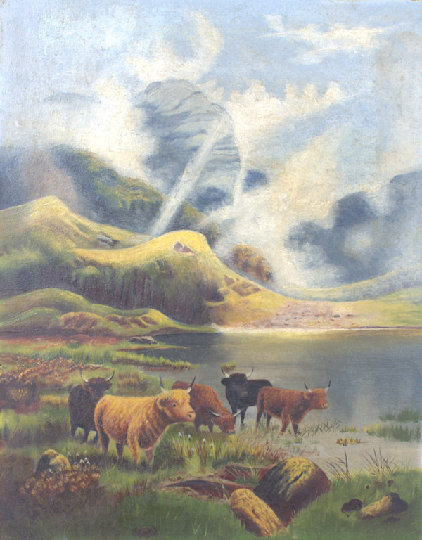 Highland Cattle by Unknown, United States, Image 1.