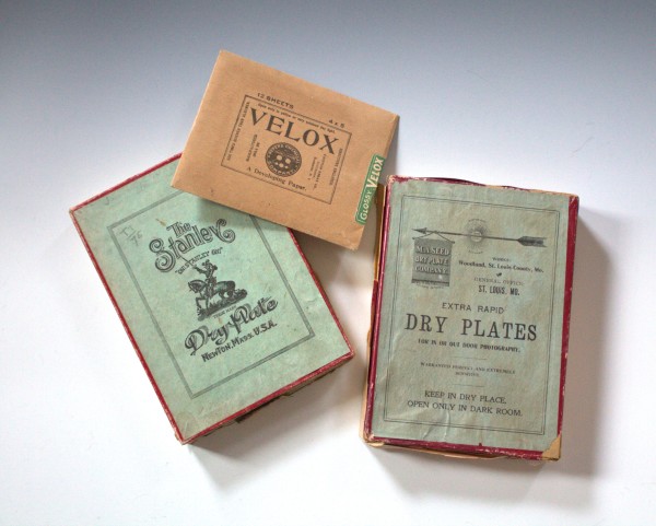 Glass Plate Negatives by F.H. Case