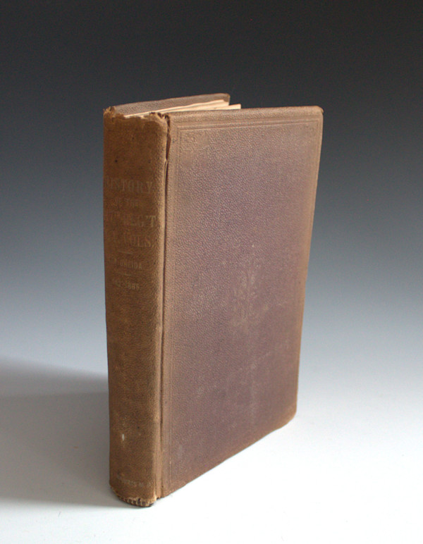 A History of the One Hundred and Seventeenth Regiment, N.Y. Volunteers by J.A. Mowris
