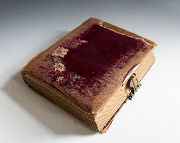 Photo Album by Various