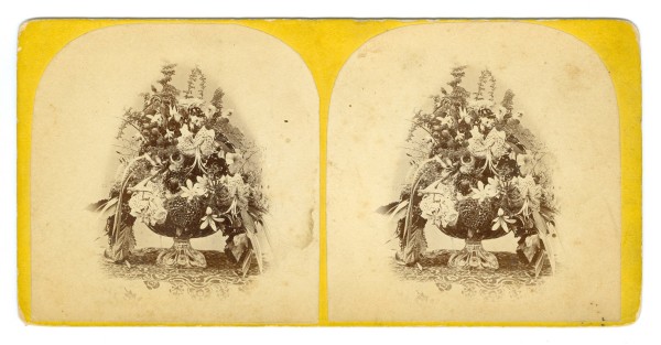 Stereoview by Unknown