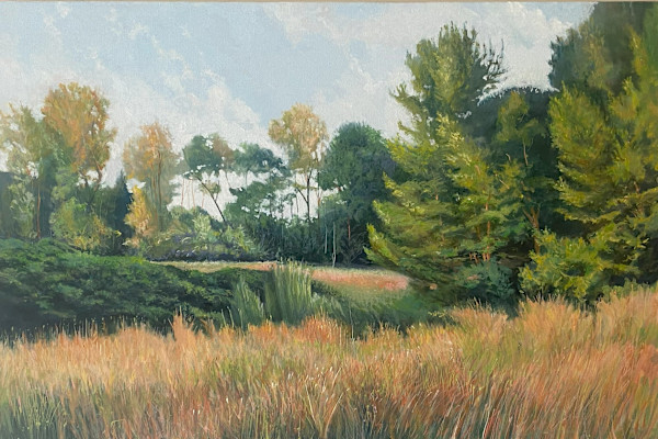 A Meadow in the Woods by Douglas H Caves Sr