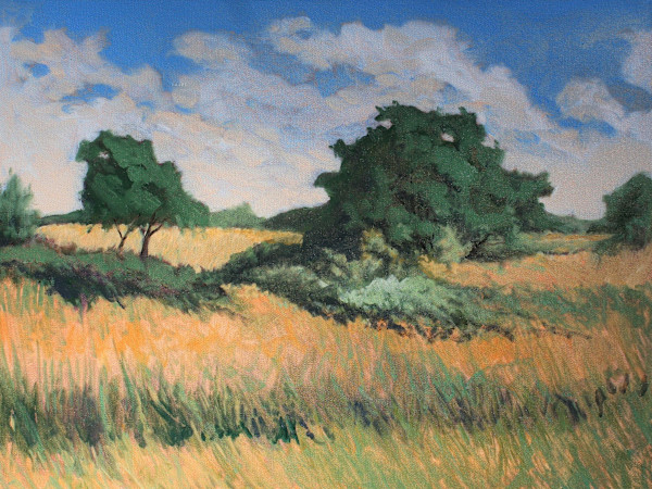 A Fleeting Moment by Douglas H Caves Sr