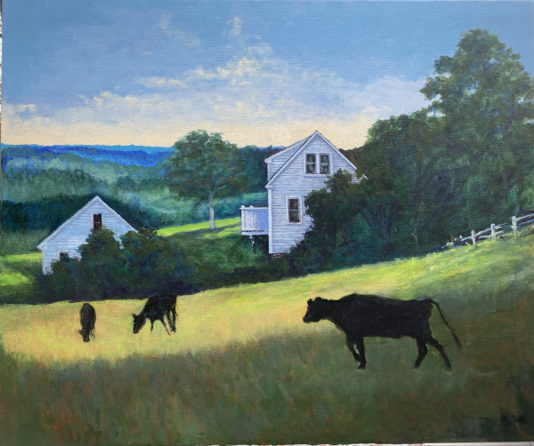 Black Cows in the Afternoon by Douglas H Caves Sr