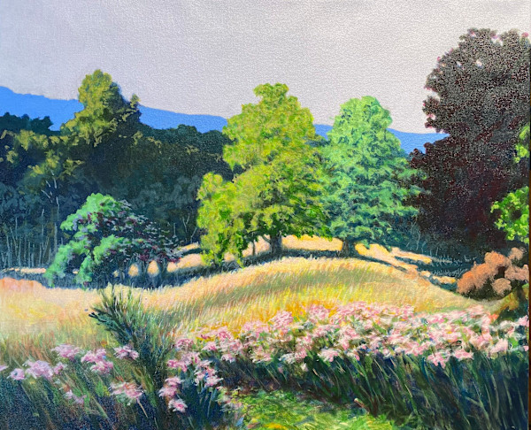 Dance of Pink in a Lush Summer Field, Version 2 by Douglas H Caves Sr