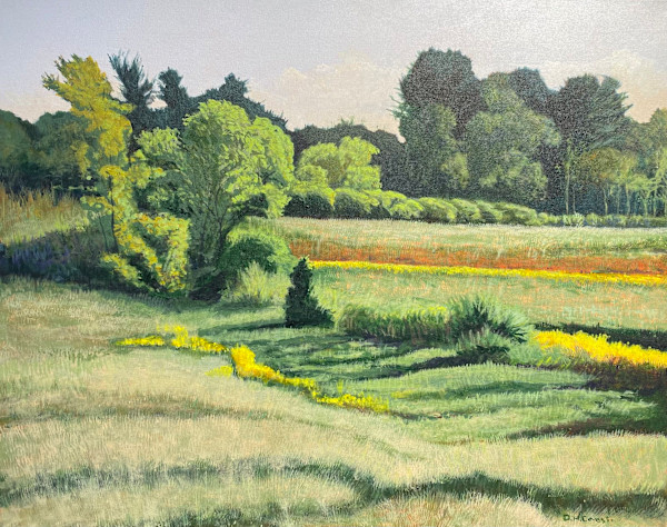 Meadow in Light and Shade with Yellow Flowers by Douglas H Caves Sr